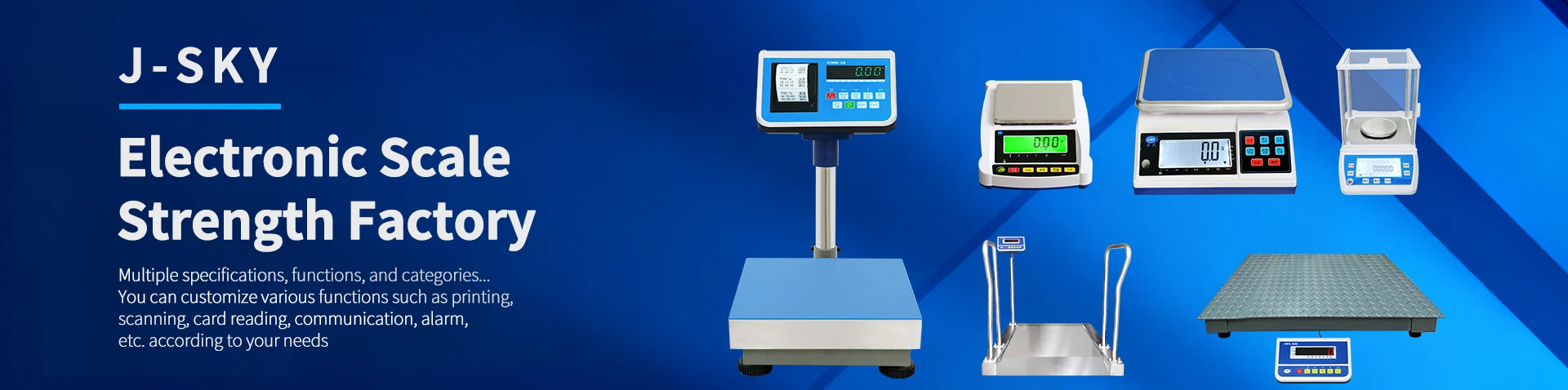 Electronic Weighing Instruments