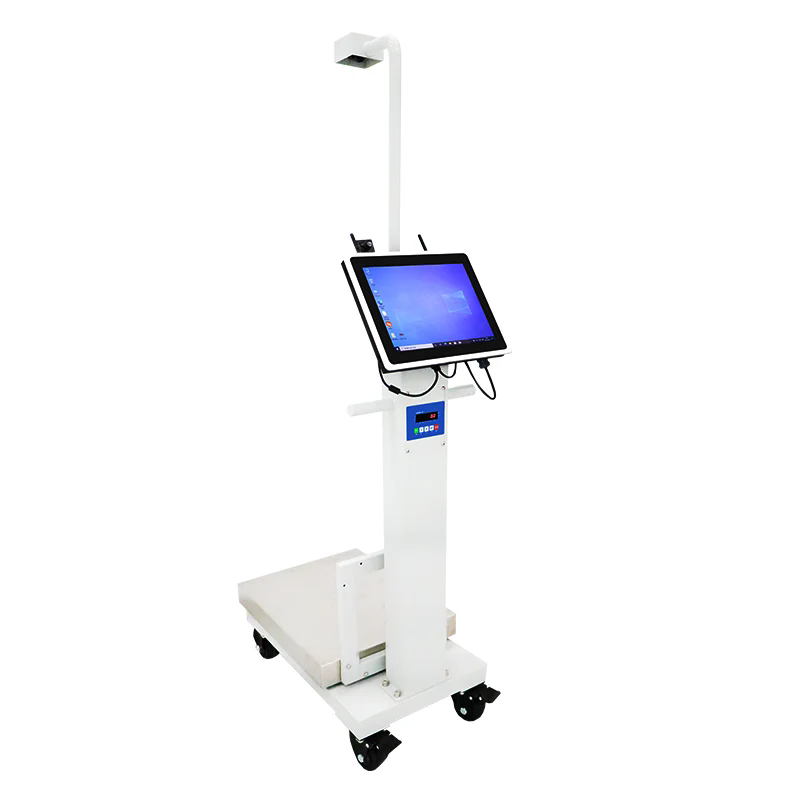 How Does a Digital Receiving Scale Improve Accuracy in Daily Weighing Operations?