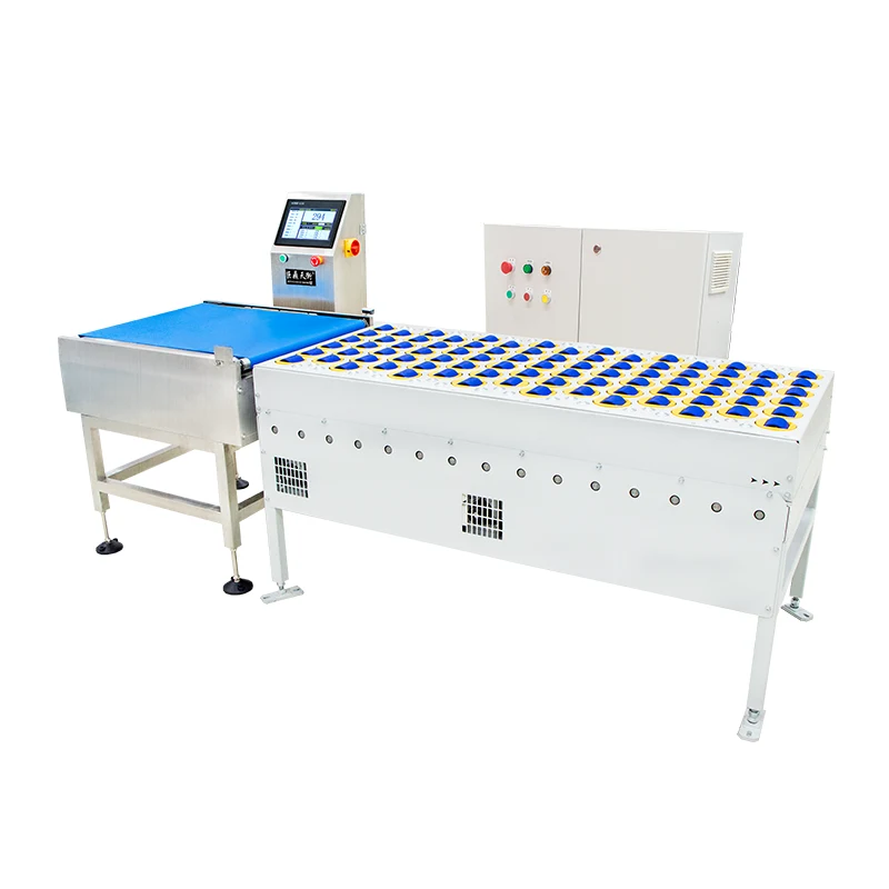 Why Rejecting Belt Weigher Matters for Precision Material Control?