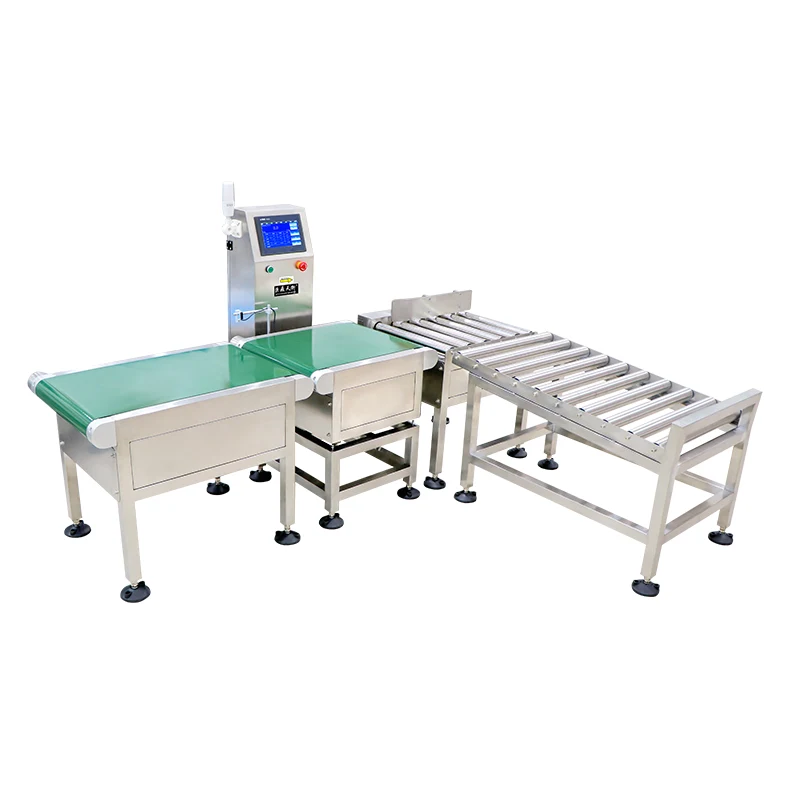 What Is an Assembly Checkweigher Scale and Why Is It Essential for Modern Production Lines?