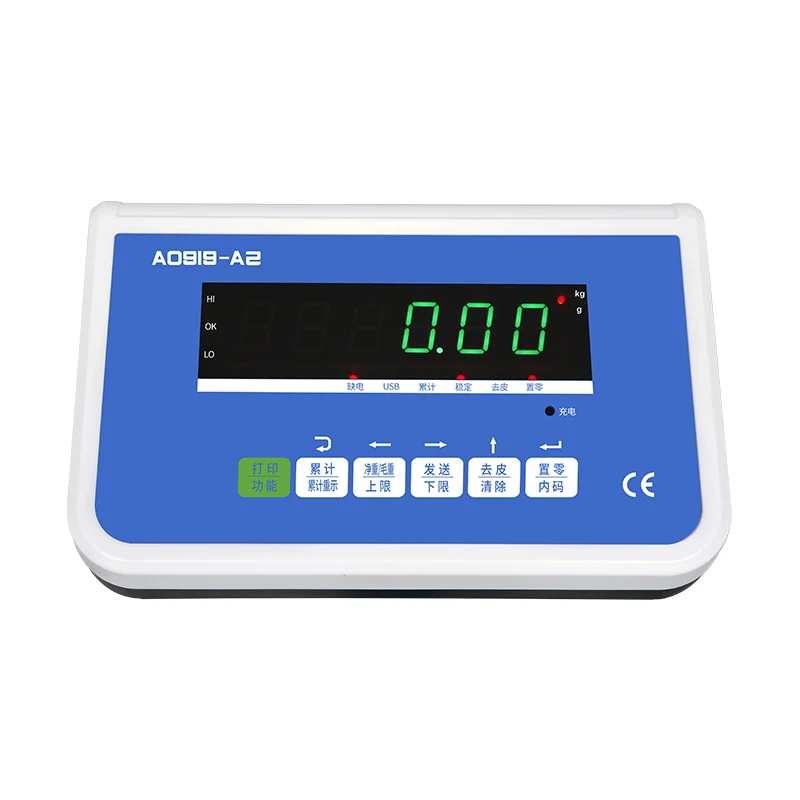 Digital Electronic Weighing Instrument